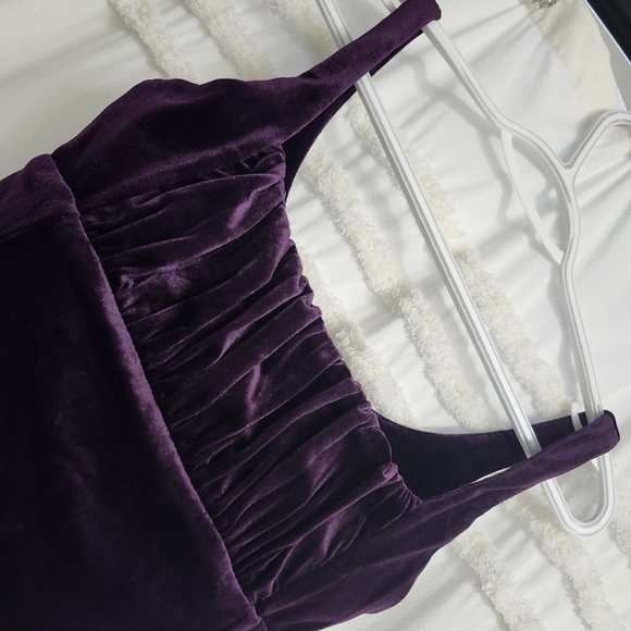 Bnwot Gorgeous Velvet Crop Top. Firm On Price. - Picture 4 of 9